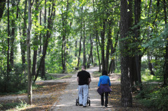 Park Brzeźnieński